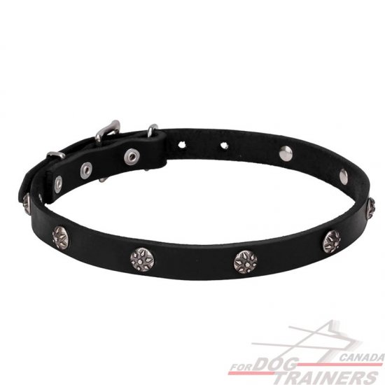 4/5 inch (20 mm) wide Leather Dog Collar "Sparkling Beauty" decorated with Chrome Plated Engraved Studs