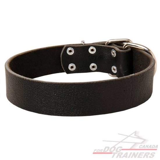 Classic Leather Dog Collar for Walking and Training - 40 mm Wide