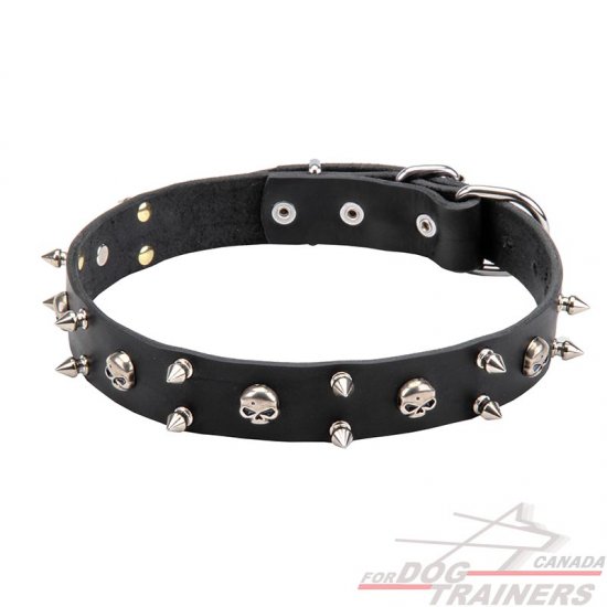"Jolly Roger" Leather Dog Collar with Skulls and 2 Rows of Spikes - 1 1/5 inch (30 mm)