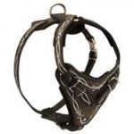 Designer Leather Dog Harness with Control Handle