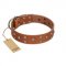 "Enchanted Skulls" FDT Artisan Tan Leather dog Collar with Chrome Plated Skulls