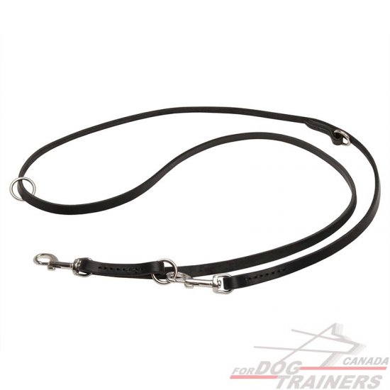 Quality leather dog leads sale