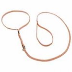 Nylon Dog Show Collar & Lead Combo