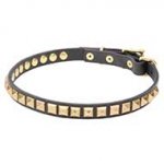 Necklace-like Narrow Leather Dog Collar with Brass Studs - 4/5 inch (20 mm)