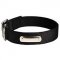 Personalized 2 Ply Nylon Dog Collar with ID Tag