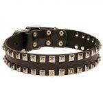 Leather Dog Collar Decorated With Nickel Pyramids