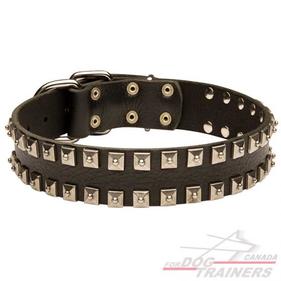 Leather Dog Collar Decorated With Nickel Pyramids