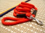 Cord nylon dog leash - dog lead