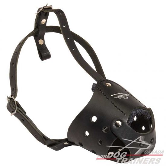 Well-ventilated Everyday Leather Dog Muzzle