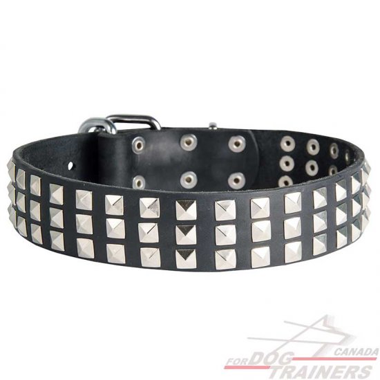 Glamorous Leather Dog Collar with Silvery Pyramids
