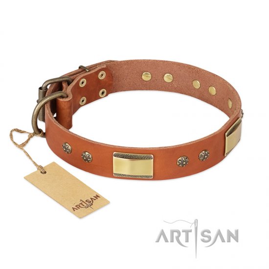 "Enchanting Spectacle" FDT Artisan Tan Leather dog Collar with Old Bronze Look Plates and Round Studs