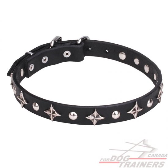 "Pleiades" 1 inch (25 mm) Leather Dog Collar with Chrome Plated Stars and Studs - Click Image to Close