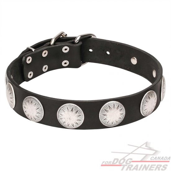 Wide Leather Dog Collar with Chrome Plated Circles - "Maya Indians"