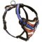 Fashion Walking Leather Dog Harness with Handle