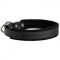 Felt Padded Leather Dog Collar for Walking and Training