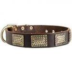New War Leather Dog Collar with Hammered Brass Plates
