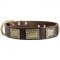New War Leather Dog Collar with Hammered Brass Plates