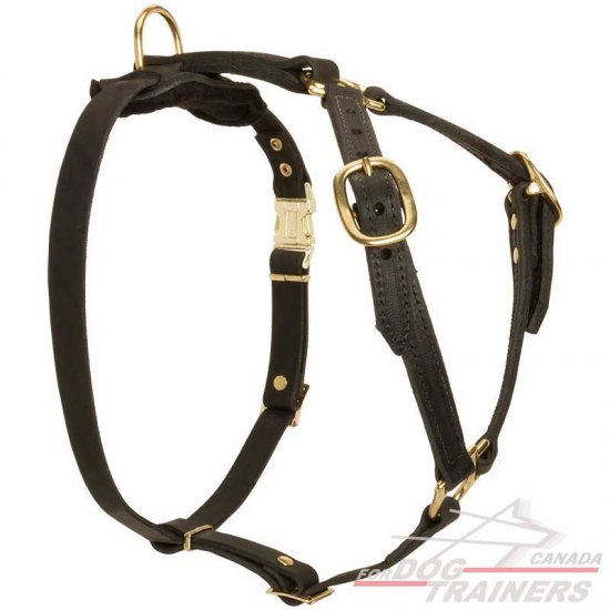 Light Weight Adjustable Leather Dog Harness for Tracking