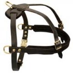 Durable Leather Dog Harness With Padded Chest Strap