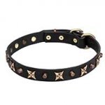 "Four Cornered Stars" Leather Dog Collar