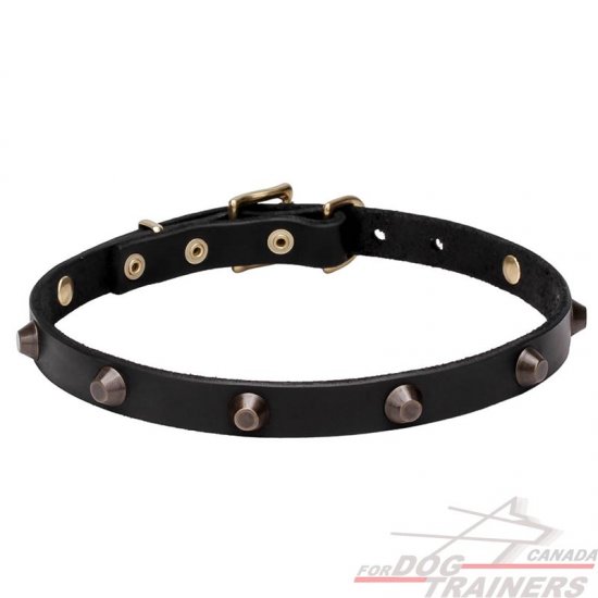 Leather Dog Collar with Brass Plated Cones 'Age of Style'