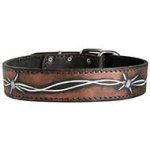 Fashion Handpainted Leather Dog Collar for Walking and Training