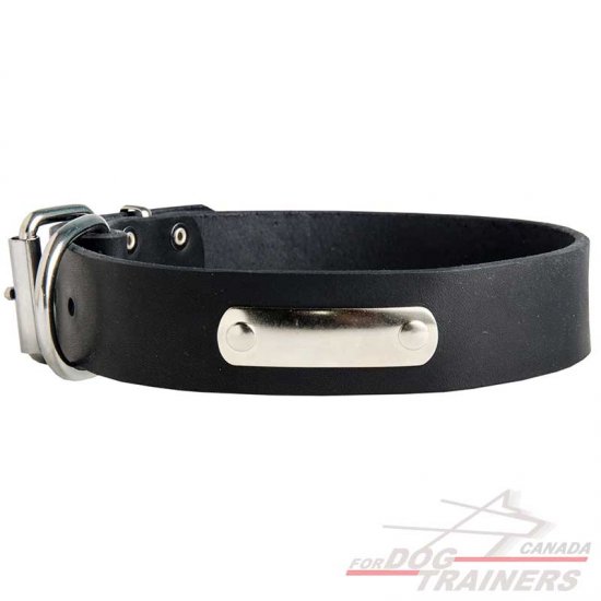Training and Walking Leather Dog Collar With ID Tag