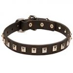 Fashion Leather Dog Collar with Nickel Caterpillar Studs