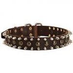 Studded and Spiked Leather Dog Collar for Showy Promenades