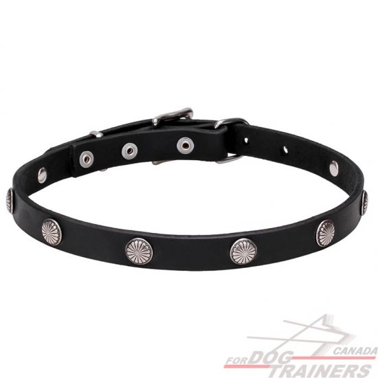 Leather Dog Collar with Chrome Plated Round Studs -"Antique Flowers" 4/5 inches (20 mm) wide