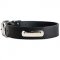 Training and Walking Leather Dog Collar With ID Tag