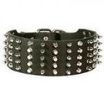 3 inch Wide Spiked and Studded Leather Dog Collar