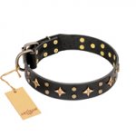'A La Mode' FDT Artisan Handmade Black Leather Dog Collar