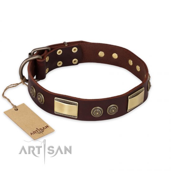 "Golden Stones" FDT Artisan Brown Leather dog Collar with Old Bronze Look Plates and Circles - Click Image to Close
