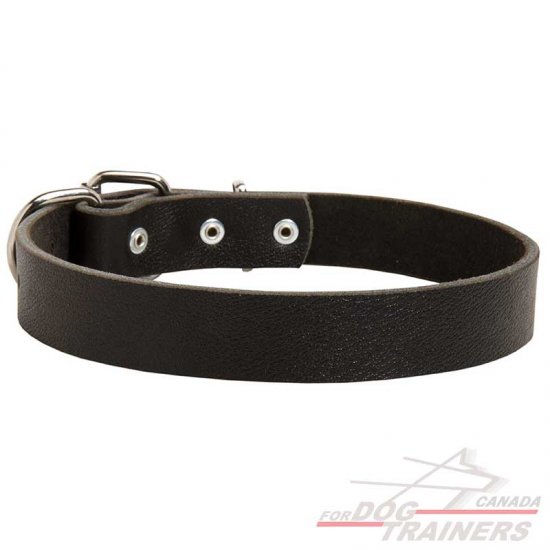 Elegant Smooth Leather Dog Collar for Medium and Large Breeds