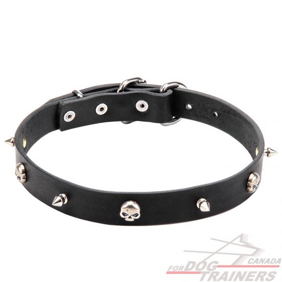 "Pirate" Leather Dog Collar with Nickel Plated Spikes and Skulls