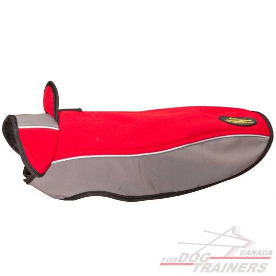 Winter Walking Nylon Harness with Stand-Up Collar