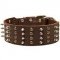 Spiked and Studded Leather Canine Collar for Walking