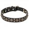 "Boho Style" 1 1/5 inch (30 mm) wide Leather Dog Collar with Massive Brass Decorations