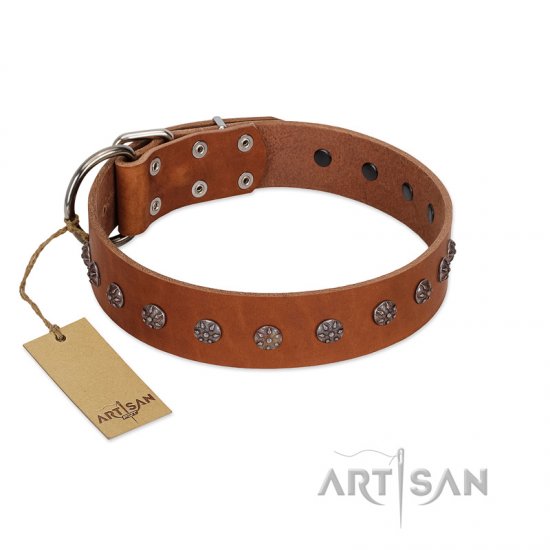 "Daintiness" Designer Handmade FDT Artisan Tan Leather dog Collar with Silver-Like Adornments
