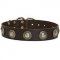 Exclusive Design Leather Wide Dog Collar