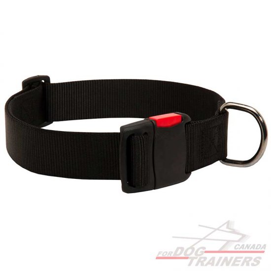 All Weather Walking Nylon Dog Collar with Quick Release Buckle