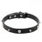 Leather Dog Collar with Nickel Plated Spikes and Skulls