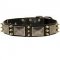 Unique Leather Dog Collar with Plates and Spikes