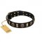 "Sea Romance" FDT Artisan Black Leather dog Collar with Plates and Skulls