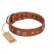 "Egyptian Gifts" Handmade FDT Artisan Tan Leather dog Collar with Chrome-plated Pyramids