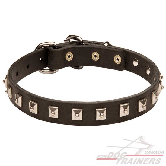 Fashion Leather Dog Collar with Nickel Caterpillar Studs