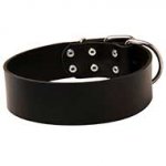 Extra Wide Leather Dog Collar for Walking and Training