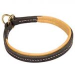 Padded Leather Dog Collar For Training And Walking
