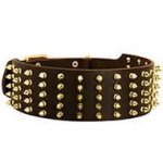 Designer Extra Wide Spiked Leather Dog Collar for Stylish Walks